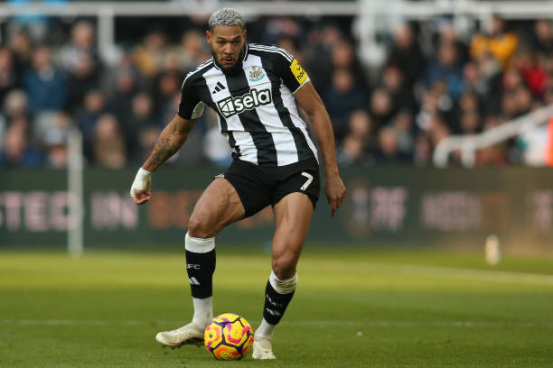 致诠释了他 致诠释了他