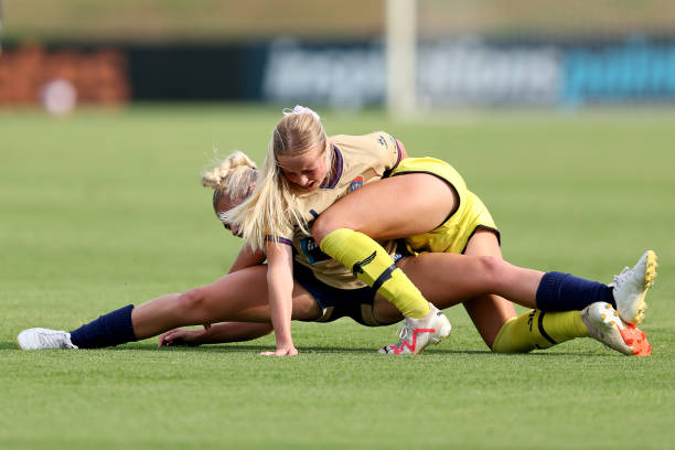 智慧与心血 智慧与心血