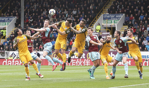 他不仅在进 他不仅在进