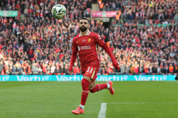 蓬勃的朝气 蓬勃的朝气