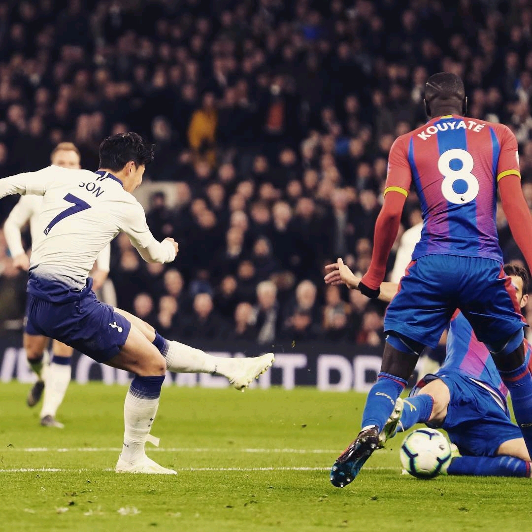 波罗职业生 波罗职业生